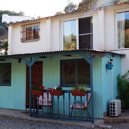 Vegan Guesthouse Finca Pereila Coín Exterior photo