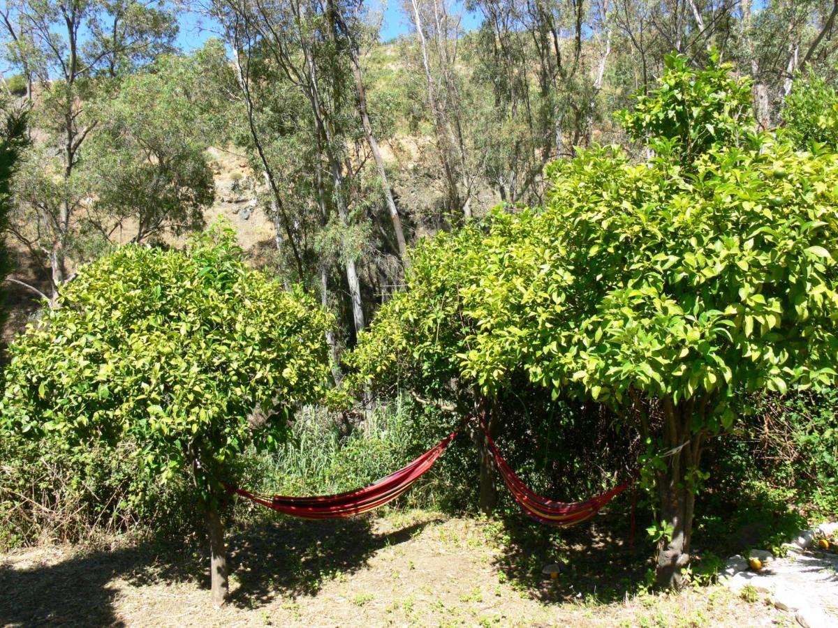 Vegan Guesthouse Finca Pereila Coín Exterior photo