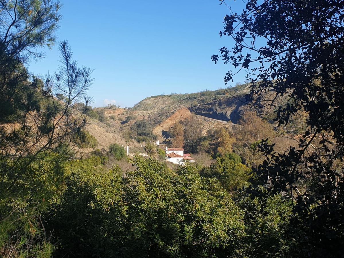 Vegan Guesthouse Finca Pereila Coín Exterior photo